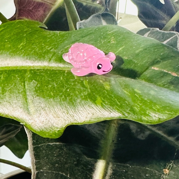 🍃50 Pack of PetalPals Plant Magnets!🍃 - Picture 11 of 12